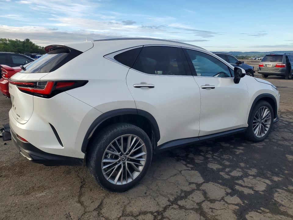 Auction sale of the 2025 Lexus Nx 350h, vin: JTJGKCEZ5S2050091, lot number: 68921176