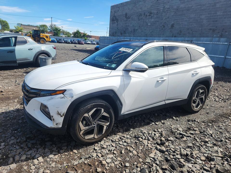 2023 Hyundai Tucson მანქანა იყიდება აუქციონზე, vin: 5NMJECAE8PH197981, აუქციონის ნომერი: 69784846