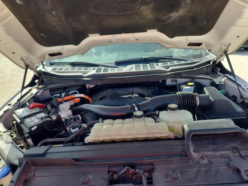 2021 Ford F150 მანქანა იყიდება აუქციონზე, vin: 1FTFW1ED7MFB62429, აუქციონის ნომერი: 70175806