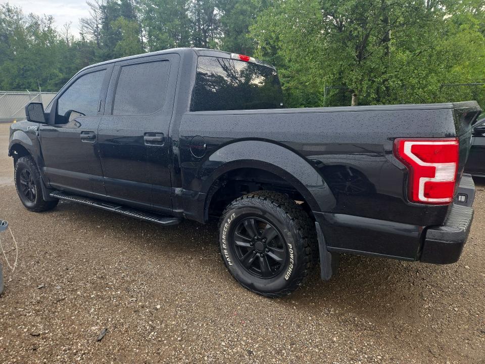 Продаж на аукціоні авто 2019 Ford F150, vin: 1FTEW1EP8KKC25564, номер лоту: 66456656