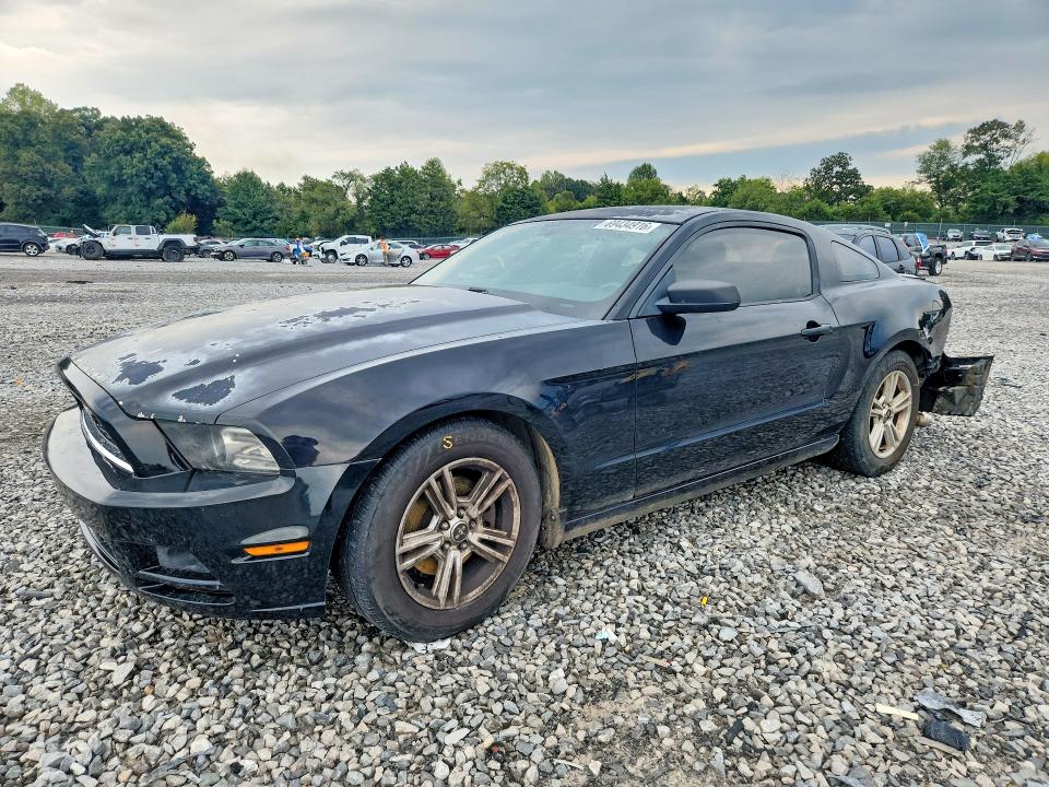 Auction sale of the 2014 Ford Mustang, vin: 1ZVBP8AM0E5253377, lot number: 69434916