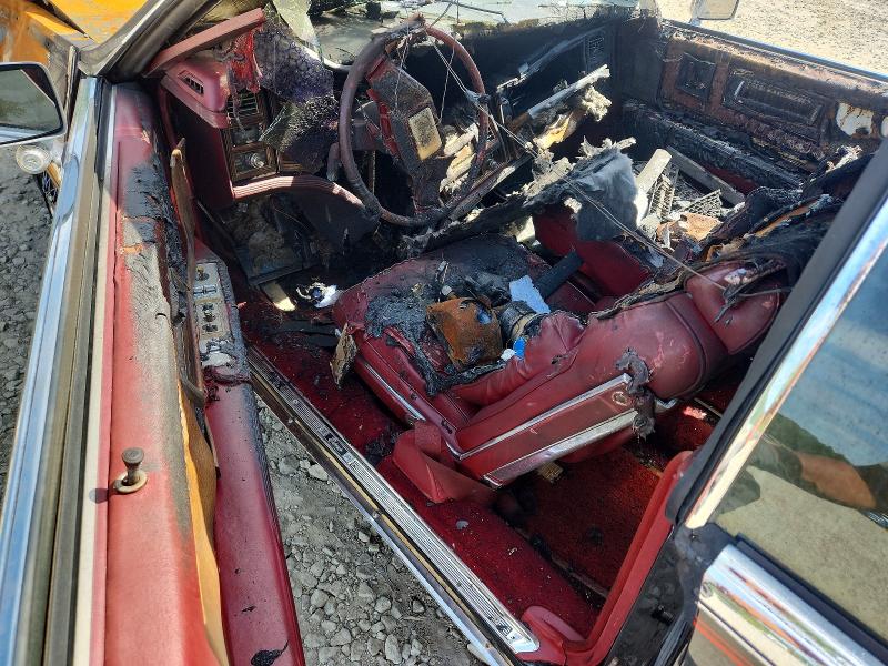 68597196 :رقم المزاد ، 1G6AL5797BE618437 vin ، 1981 Cadillac Eldorado مزاد بيع