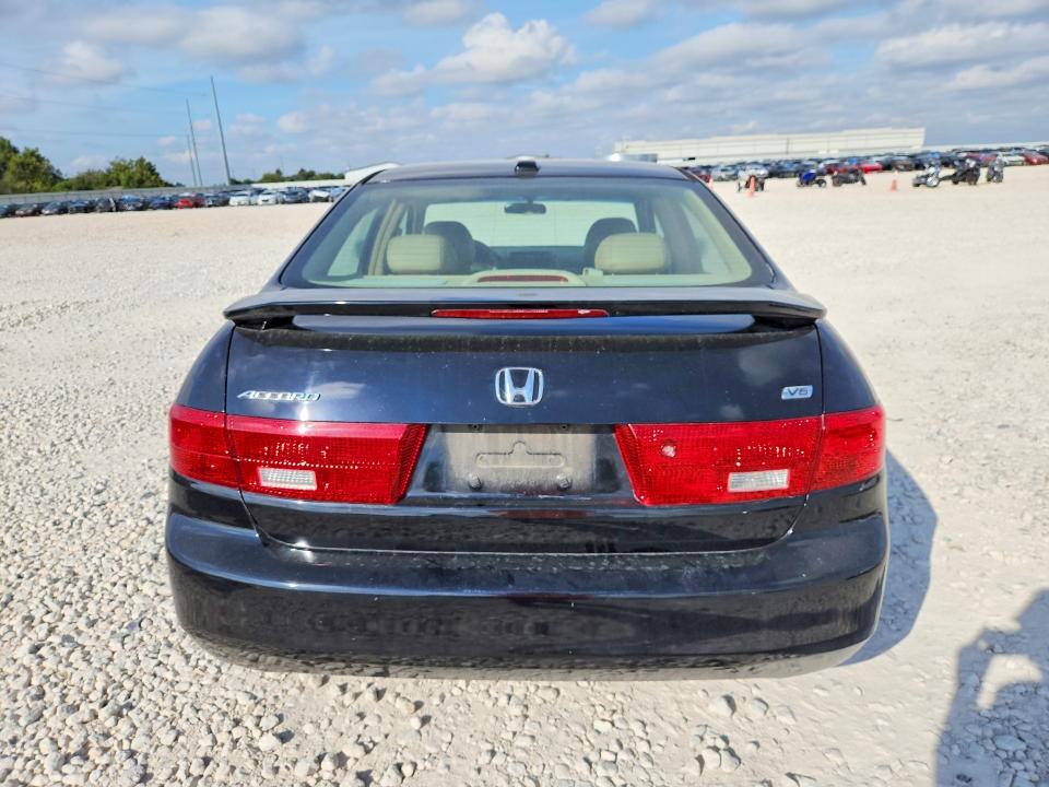 Продаж на аукціоні авто 2005 Honda Accord, vin: 1HGCM66805A062471, номер лоту: 69584946