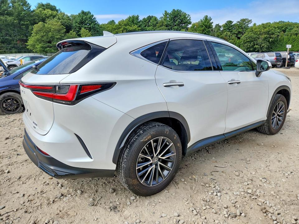 69297896 :رقم المزاد ، 2T2GGCEZ4NC008629 vin ، 2022 Lexus Nx مزاد بيع