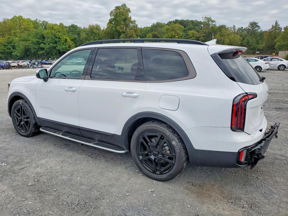 Aukcja sprzedaży 2024 Kia Telluride, vin: 5XYP5DGC5RG507023, numer aukcji: 69458266
