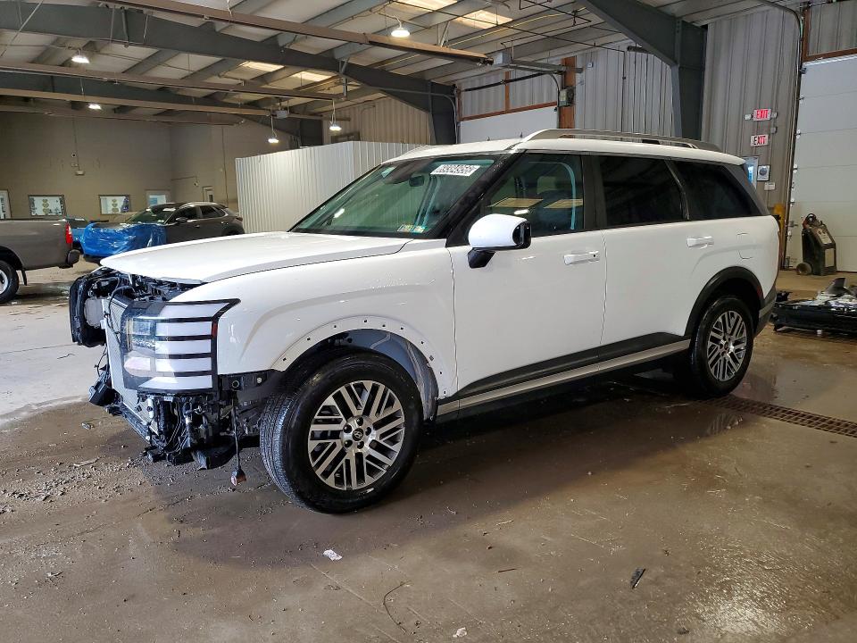 Aukcja sprzedaży 2026 Hyundai Palisade, vin: KM8RLES24TU132455, numer aukcji: 69384956