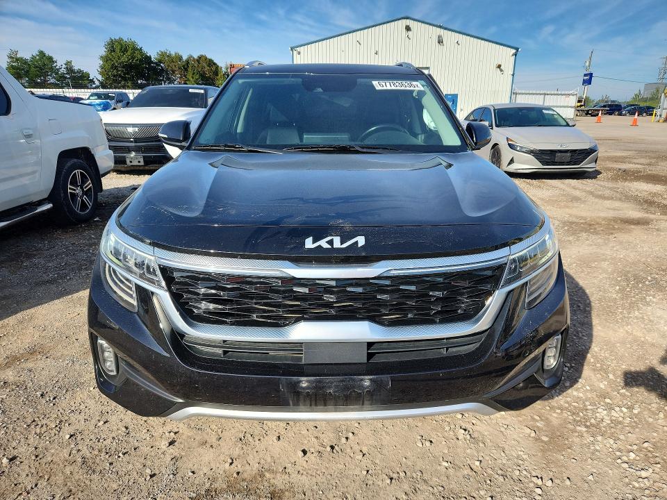 Auction sale of the 2023 Kia Seltos, vin: KNDERCAA5P7434436, lot number: 67783636