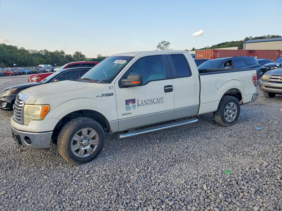 Auction sale of the 2011 Ford F150, vin: 1FTFX1CT9BFB20168, lot number: 67853736