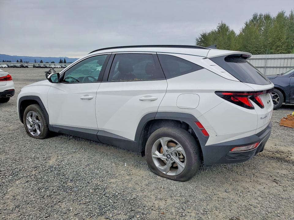 Продаж на аукціоні авто 2024 Hyundai Tucson, vin: 5NMJBCDE0RH298987, номер лоту: 69446616
