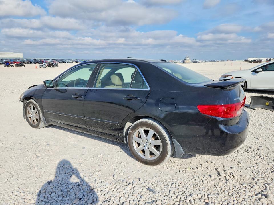 Продаж на аукціоні авто 2005 Honda Accord, vin: 1HGCM66805A062471, номер лоту: 69584946