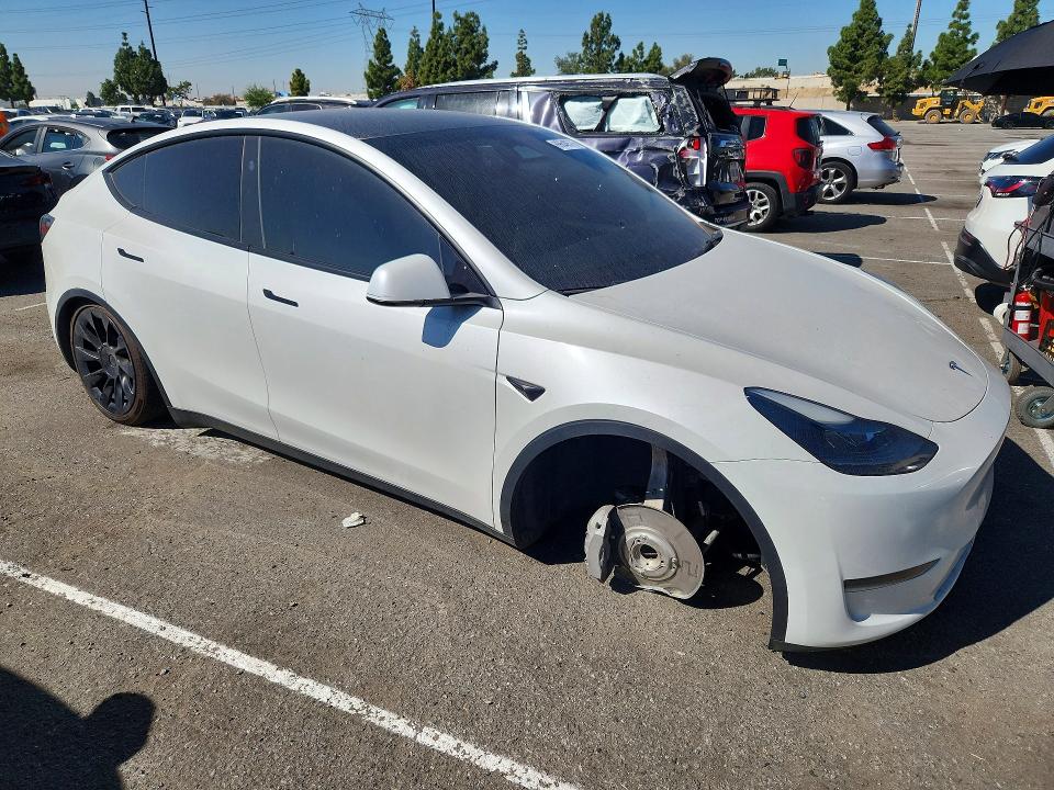 Продаж на аукціоні авто 2021 Tesla Model Y, vin: 7SAYGDED8RF008883, номер лоту: 69648576
