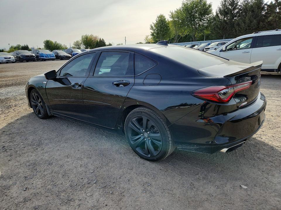 Aukcja sprzedaży 2023 Acura Tlx, vin: 19UUB6F52PA800337, numer aukcji: 69526256
