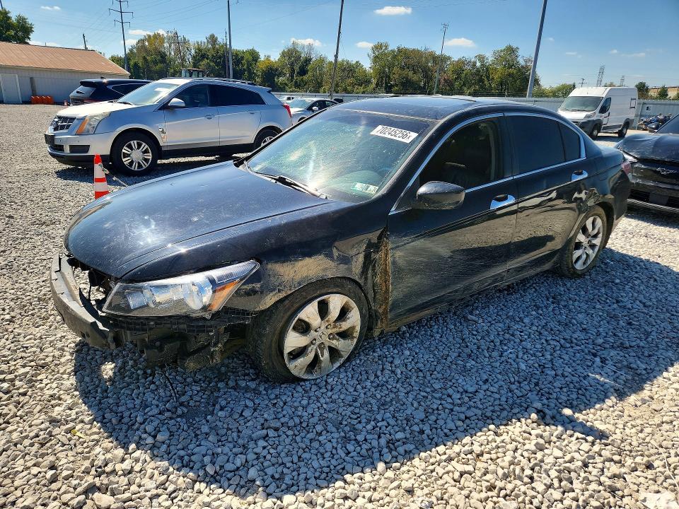 Auction sale of the 2008 Honda Accord, vin: 1HGCP36808A028007, lot number: 70245256