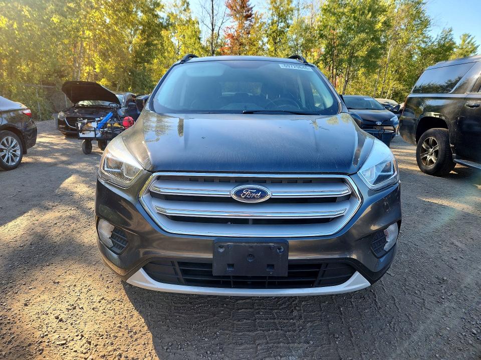 Продажа на аукционе авто 2019 Ford Escape, vin: 1FMCU0HD0KUC11716, номер лота: 69729646