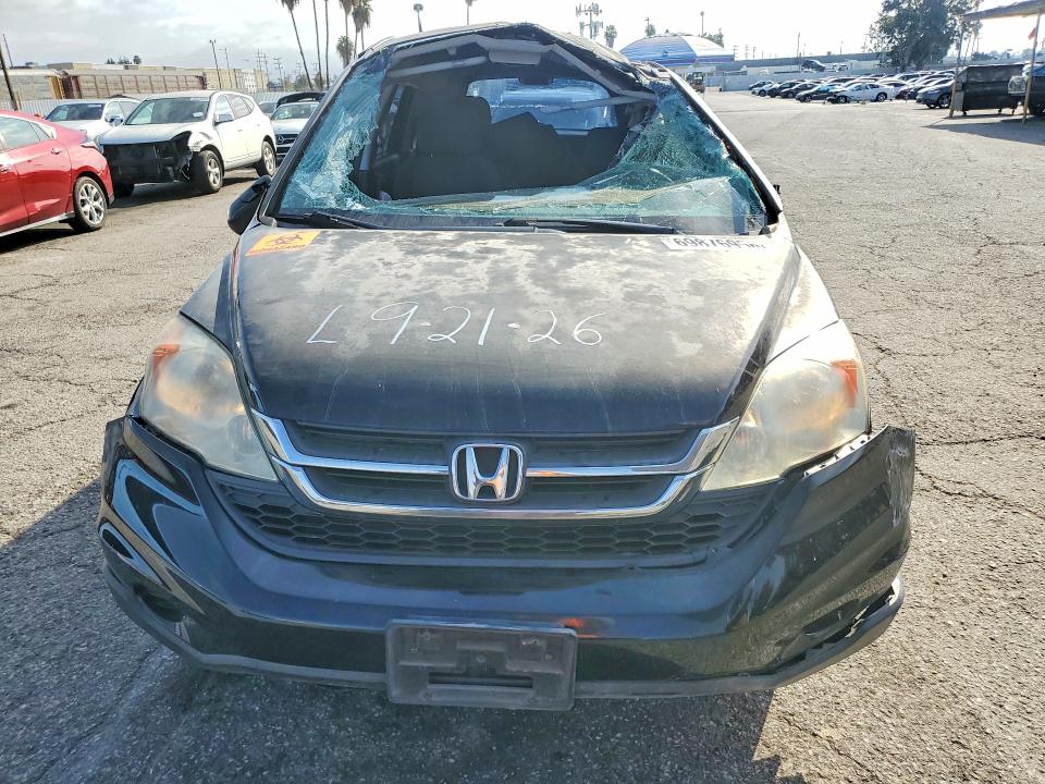 Продаж на аукціоні авто 2010 Honda Cr-v, vin: 5J6RE3H39AL023389, номер лоту: 69876956