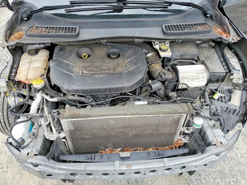 Auction sale of the 2015 Ford Escape, vin: 1FMCU9J91FUB96420, lot number: 66763546
