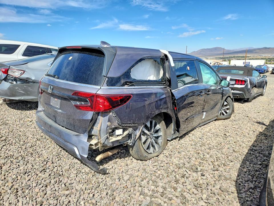Продаж на аукціоні авто 2025 Honda Odyssey, vin: 5FNRL6H61SB059461, номер лоту: 69800356