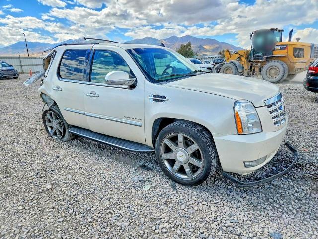 Продаж на аукціоні авто 2011 Cadillac Escalade, vin: 1GYS4BEF0BR347648, номер лоту: 69562816