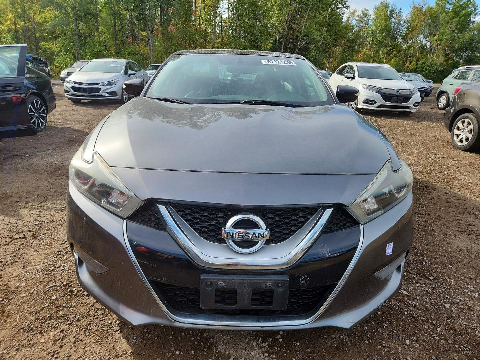 Продаж на аукціоні авто 2017 Nissan Maxima, vin: 1N4AA6APXHC362823, номер лоту: 67121236