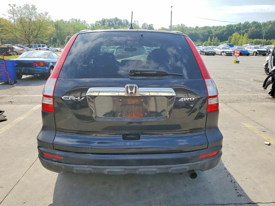Продаж на аукціоні авто 2010 Honda Cr-v, vin: 5J6RE4H5XAL073502, номер лоту: 69190476