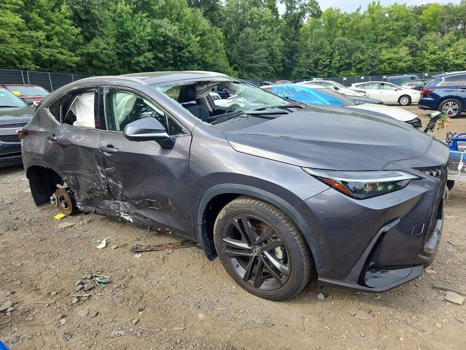 Aukcja sprzedaży 2025 Lexus Nx 450h+, vin: JTJHKCFZ4S2042809, numer aukcji: 67181226