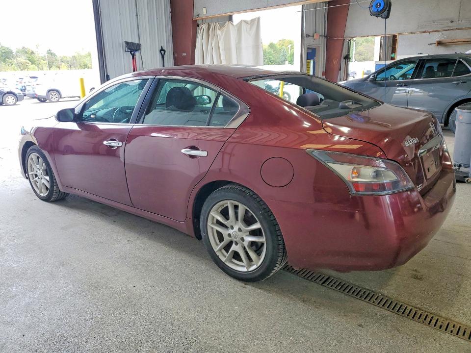 69711786 :رقم المزاد ، 1N4AA5AP7DC800475 vin ، 2013 Nissan Maxima مزاد بيع