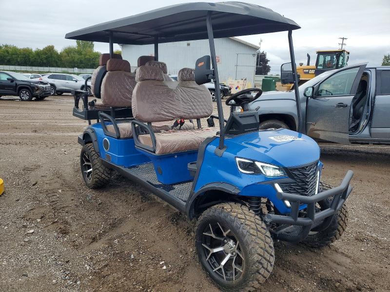 Auction sale of the 2026 Golf Golf Cart, vin: H0916F2B6TASHT712, lot number: 67671366