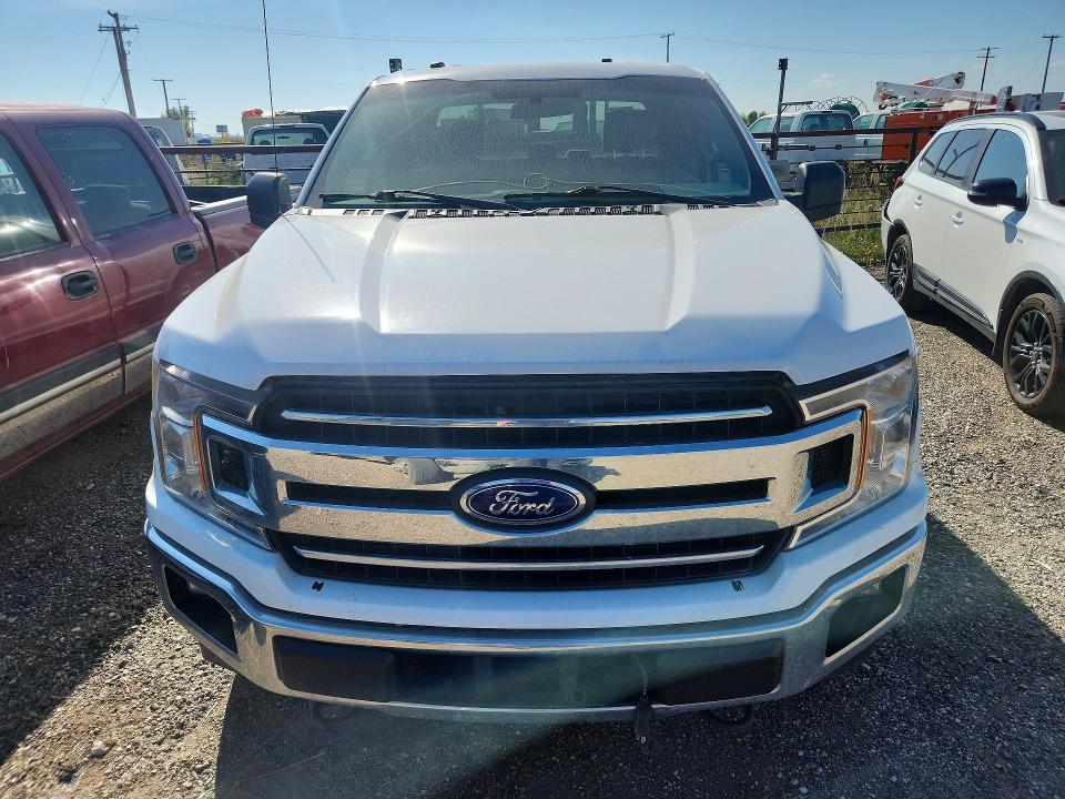Продаж на аукціоні авто 2018 Ford F150, vin: 1FTFX1EG8JKF31650, номер лоту: 61889196