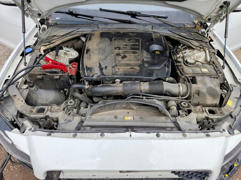 70803006 :رقم المزاد ، SAJBD4FX9KCY78845 vin ، 2019 Jaguar Xf مزاد بيع