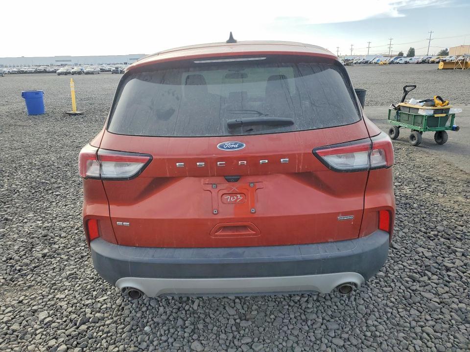 Aukcja sprzedaży 2020 Ford Escape, vin: 1FMCU0BZ8LUB13703, numer aukcji: 69722726