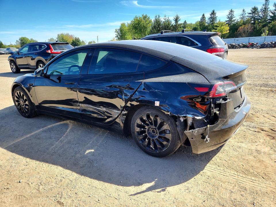 Продажа на аукционе авто 2021 Tesla Model 3, vin: 5YJ3E1EA3MF016951, номер лота: 69353506