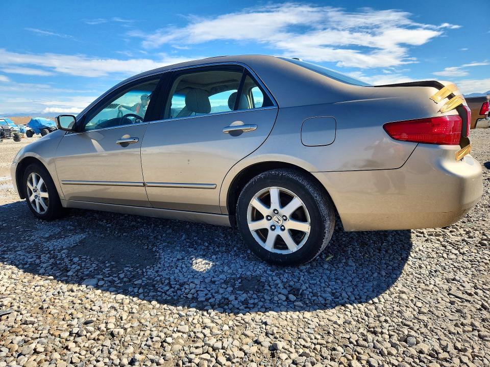Продаж на аукціоні авто 2005 Honda Accord, vin: 1HGCM66545A031911, номер лоту: 69913996
