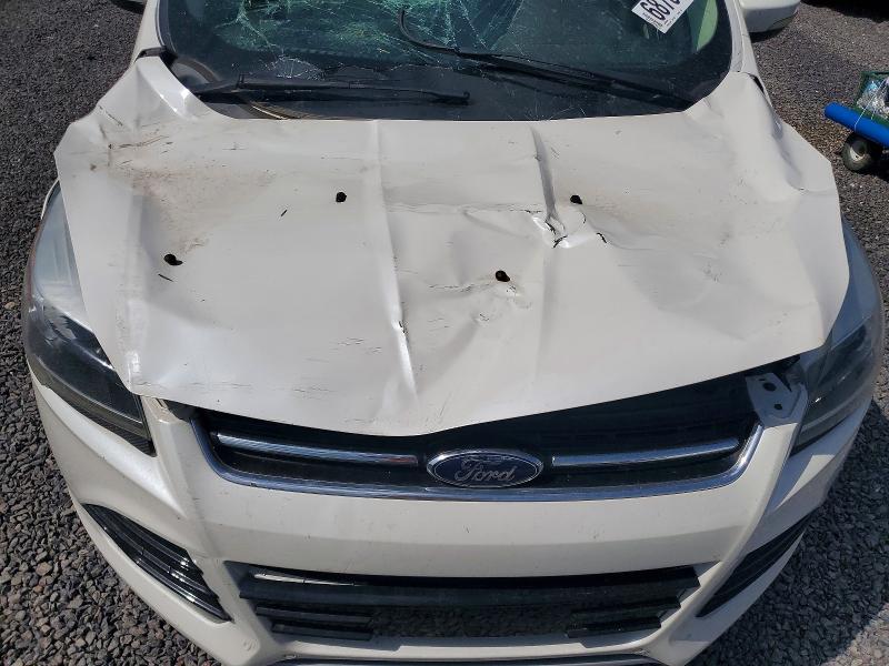2014 Ford Escape მანქანა იყიდება აუქციონზე, vin: 1FMCU0JX0EUC07898, აუქციონის ნომერი: 68756156