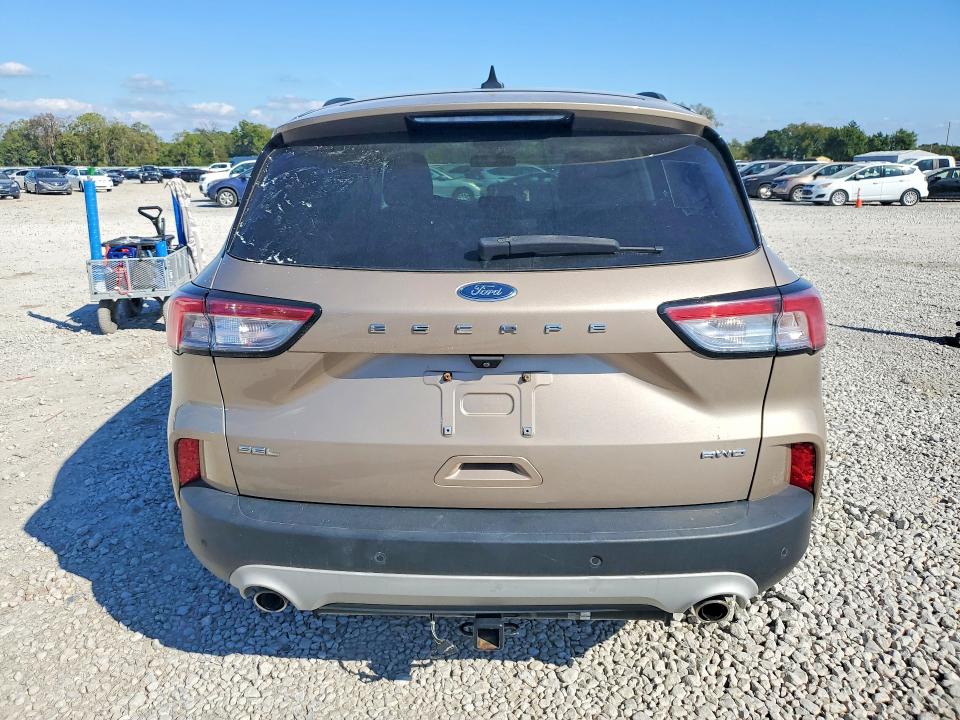 2021 Ford Escape მანქანა იყიდება აუქციონზე, vin: 1FMCU9H63MUA54384, აუქციონის ნომერი: 70438876