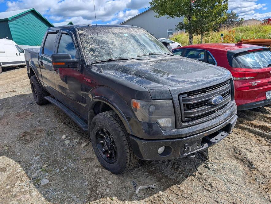 67970766 :رقم المزاد ، 1FTFW1EF3DFD20315 vin ، 2013 Ford F150 مزاد بيع
