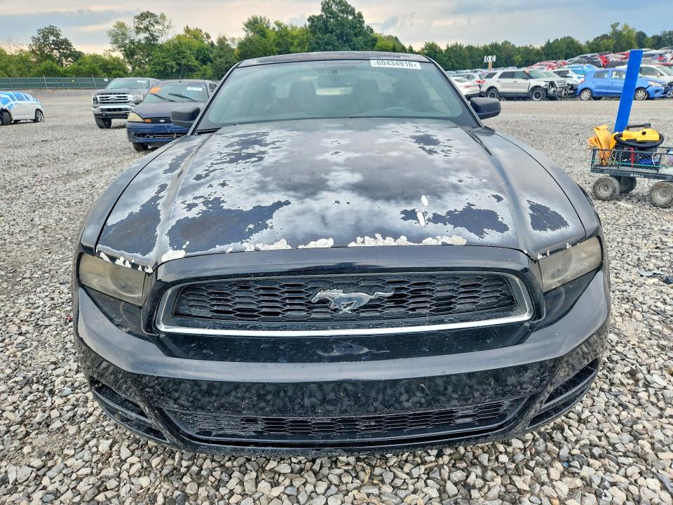 Продаж на аукціоні авто 2014 Ford Mustang, vin: 1ZVBP8AM0E5253377, номер лоту: 69434916