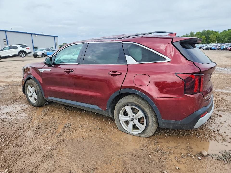 Aukcja sprzedaży 2024 Kia Sorento, vin: 5XYRG4JC6RG305030, numer aukcji: 69131626