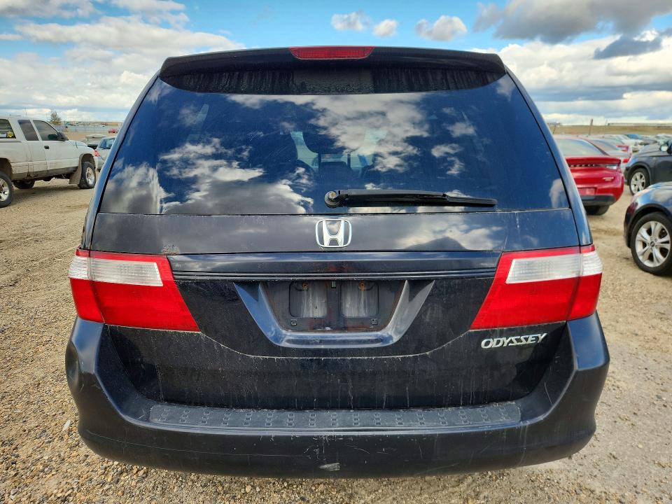68855636 :رقم المزاد ، 5FNRL38675B507687         vin ، 2005 Honda Odyssey مزاد بيع
