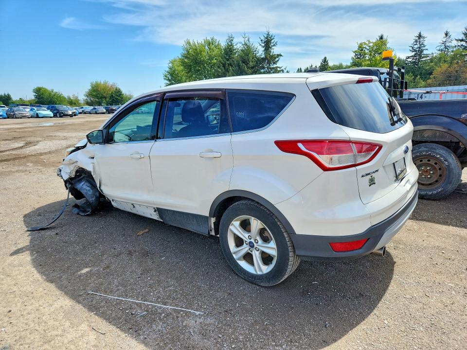 Продаж на аукціоні авто 2013 Ford Escape, vin: 1FMCU0GX5DUD26956, номер лоту: 67434806