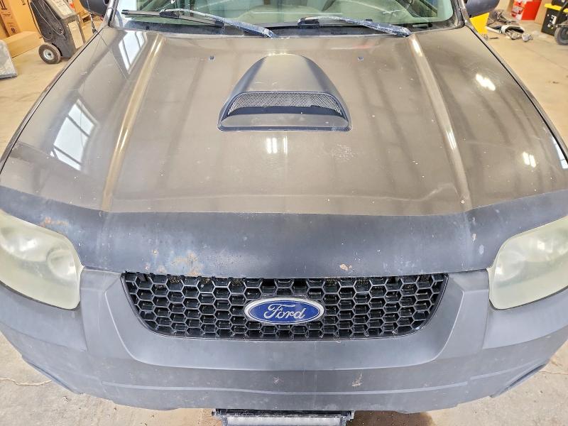 2005 Ford Escape მანქანა იყიდება აუქციონზე, vin: 1FMYU93185KA85967, აუქციონის ნომერი: 67719096