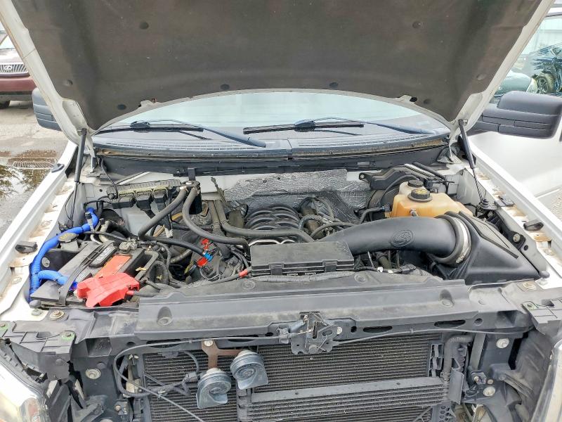 Продаж на аукціоні авто 2013 Ford F150, vin: 1FTFX1EF7DFB26075, номер лоту: 67925426