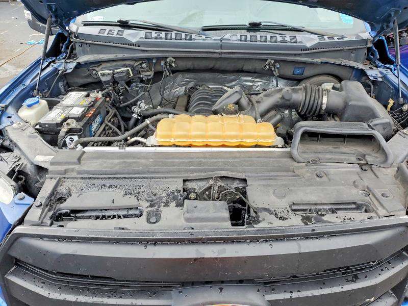 67130866 :رقم المزاد ، 1FTEW1CF2HKD29535 vin ، 2017 Ford F150 مزاد بيع