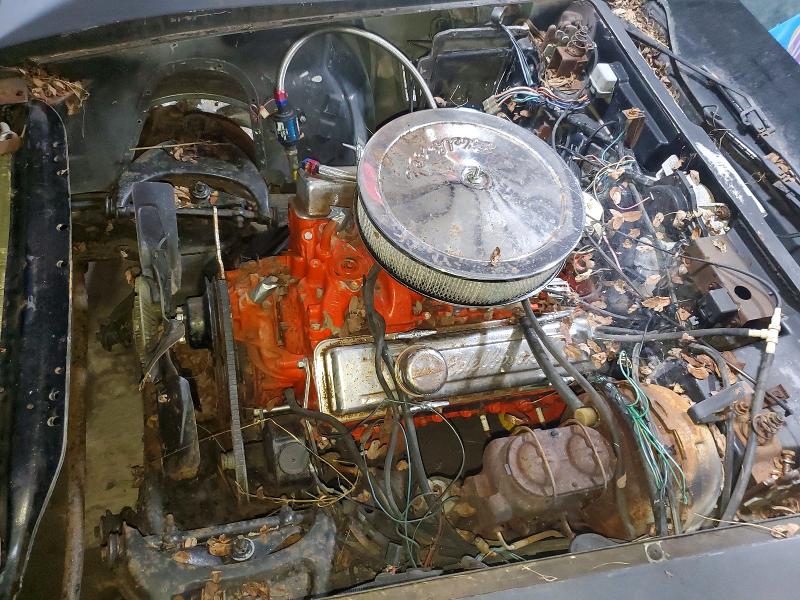 68953516 :رقم المزاد ، 1G1AY8768B5102490 vin ، 1981 Chevrolet Corvette مزاد بيع
