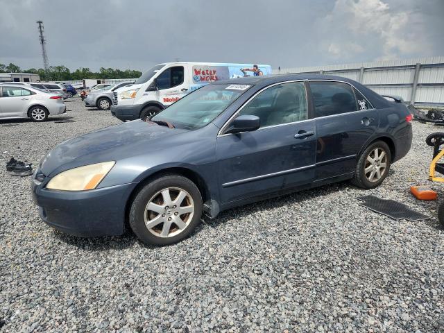 2003 Honda Accord მანქანა იყიდება აუქციონზე, vin: 1HGCM56693A069103, აუქციონის ნომერი: 69742646