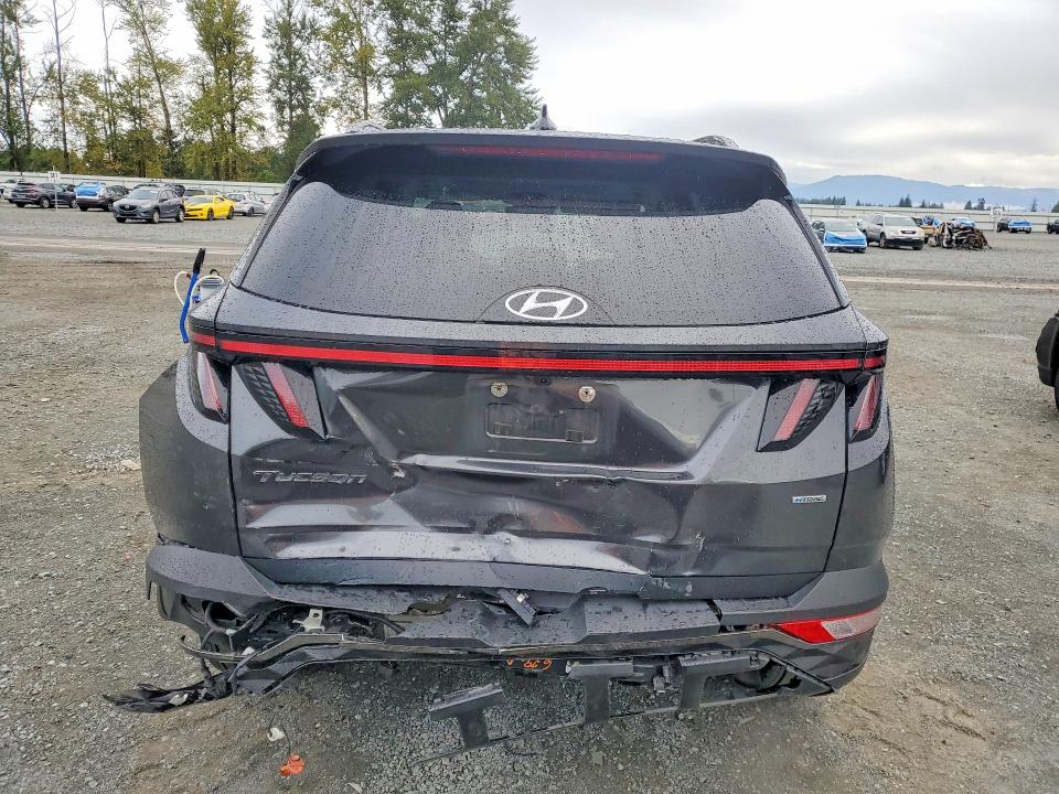 Aukcja sprzedaży 2023 Hyundai Tucson, vin: 5NMJECAE5PH293485, numer aukcji: 67728286