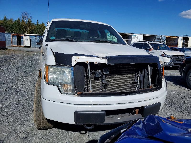 Auction sale of the 2011 Ford F150, vin: 1FTEX1EM4BFD16732, lot number: 68549586