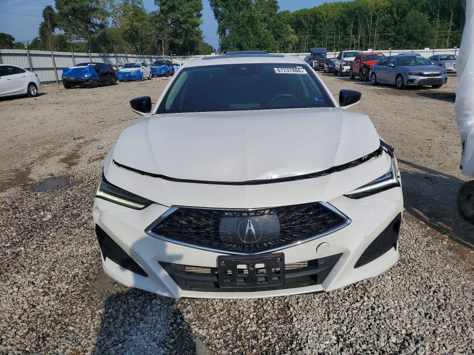 2023 Acura Tlx მანქანა იყიდება აუქციონზე, vin: 19UUB5F39PA007092, აუქციონის ნომერი: 67237866