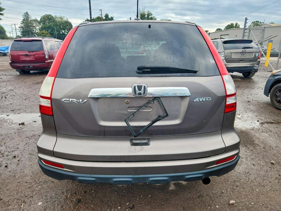 Продаж на аукціоні авто 2010 Honda Cr-v, vin: 5J6RE4H76AL071568, номер лоту: 68374846