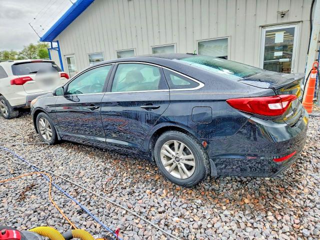 Продаж на аукціоні авто 2016 Hyundai Sonata, vin: 5NPE24AFXGH404902, номер лоту: 68213636