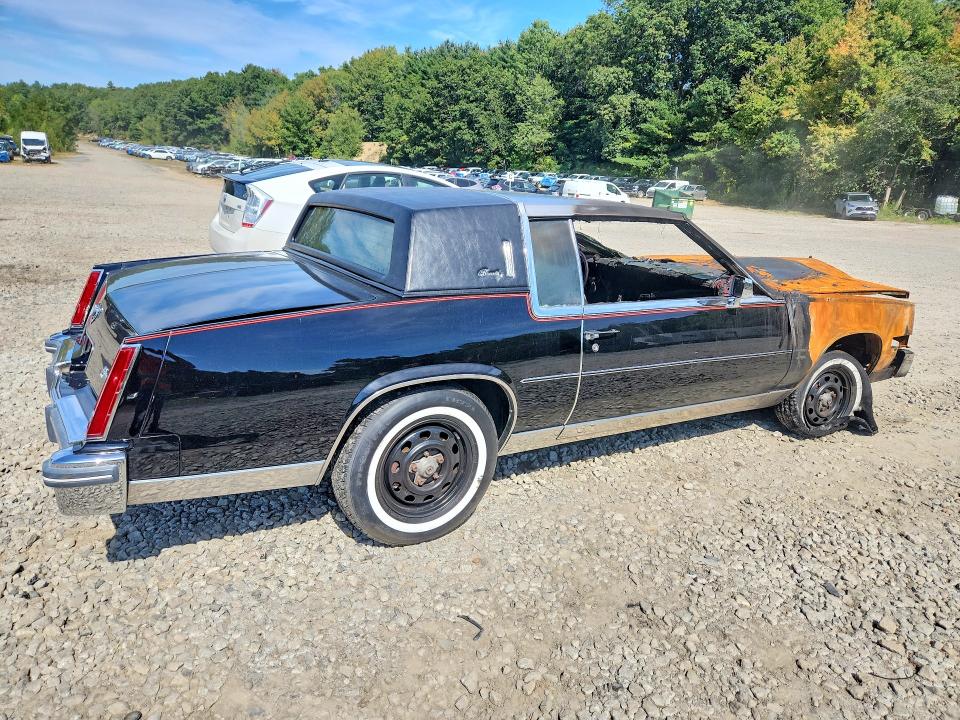 68597196 :رقم المزاد ، 1G6AL5797BE618437 vin ، 1981 Cadillac Eldorado مزاد بيع